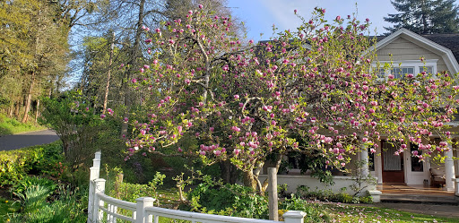 Park «Washburne Park», reviews and photos, E 21st Ave & Agate Street, Eugene, OR 97403, USA