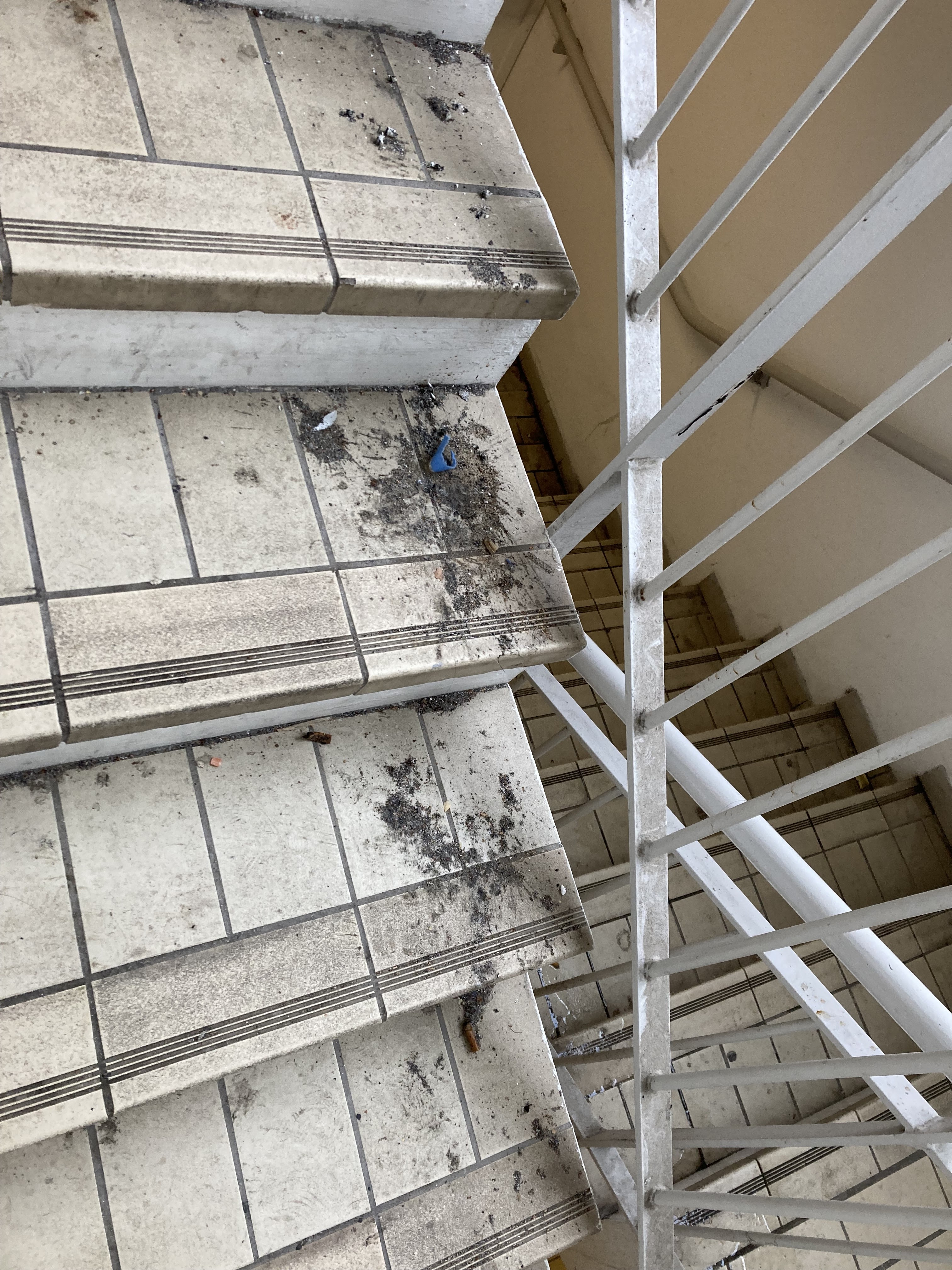 Photo n° 2 de l'avis de Nikki.u fait le 14/01/2024 à 18:45