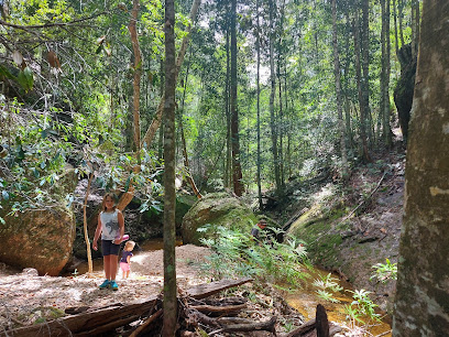 Newbys Creek walk and caves