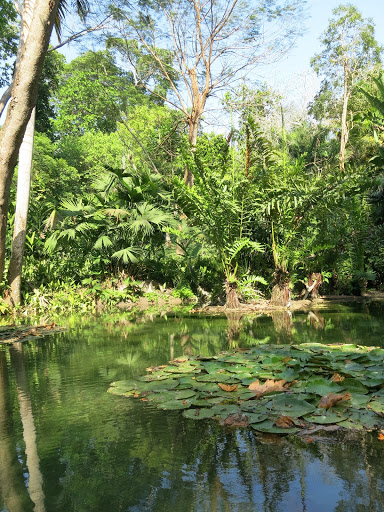 Jardín Botánico de Cartagena 