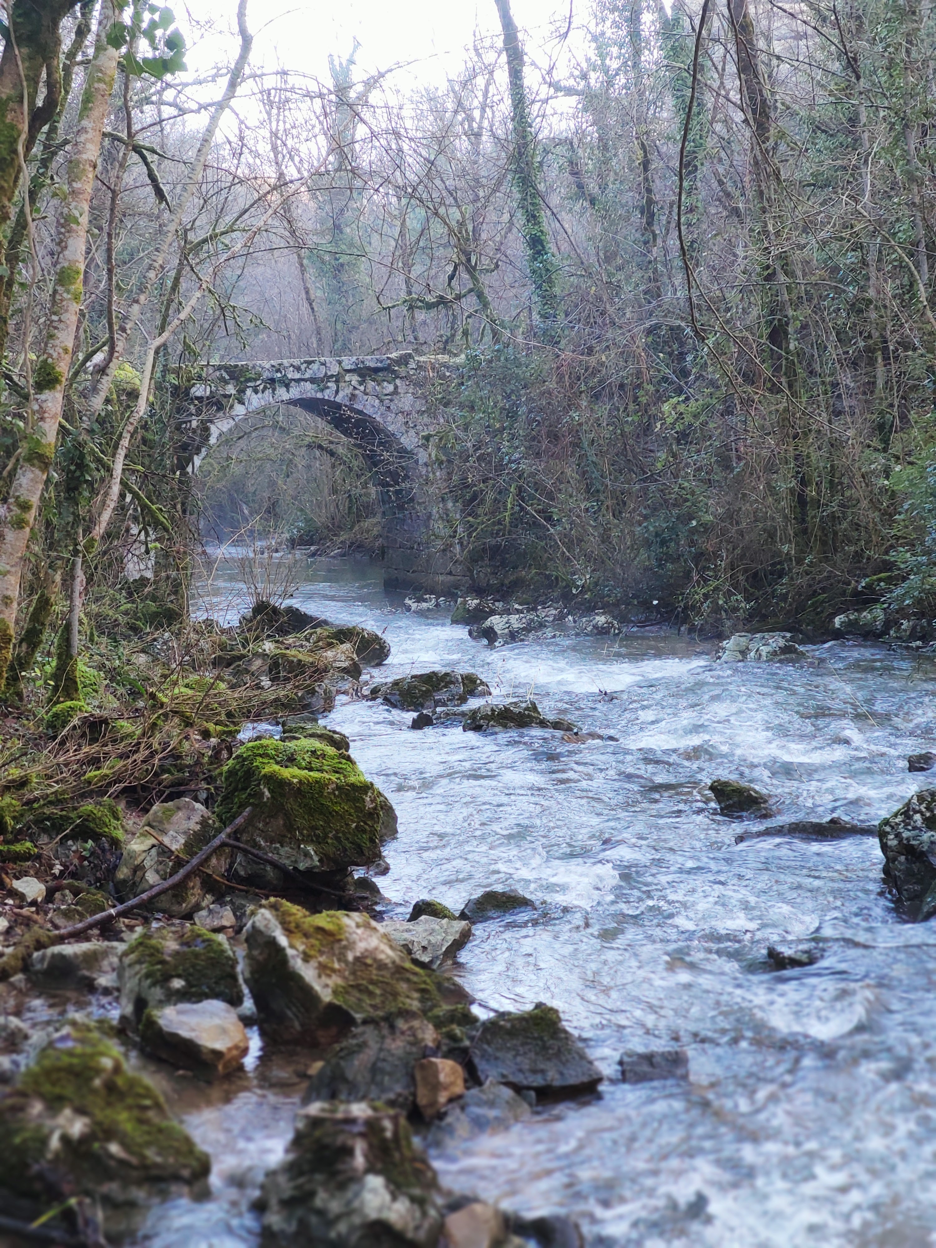 Photo n° 1 de l'avis de Gérard.A fait le 30/12/2019 à 13:40