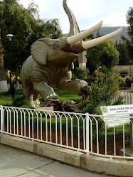 Museo Paleontológico del Centro