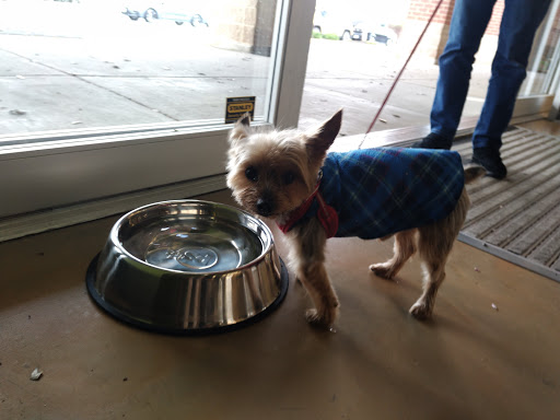 Pet Supply Store «Pet Supplies Plus», reviews and photos, 11054 Lee Hwy, Fairfax, VA 22030, USA