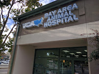 VCA Bay Area Animal Hospital - Photo 5 - Car repair in Oakland, CA, Berkeley