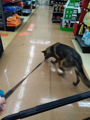 Pet Supply Store «Petco Animal Supplies», reviews and photos, 101 Hale Rd, Manchester, CT 06042, USA