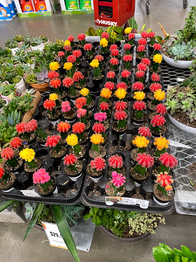 Home Improvement Store «The Home Depot», reviews and photos, 6501 W Broad St, Richmond, VA 23230, USA