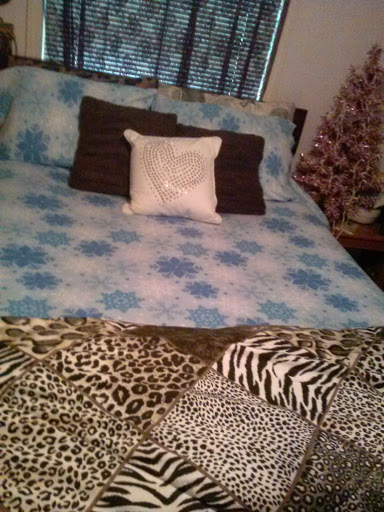 Discount Store «Big Lots», reviews and photos, 3621 N Josey Ln, Carrollton, TX 75007, USA