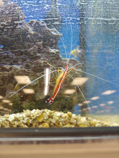 Pet Supply Store «Petco Animal Supplies», reviews and photos, 12641-310 Ocean Gateway, Ocean City, MD 21842, USA