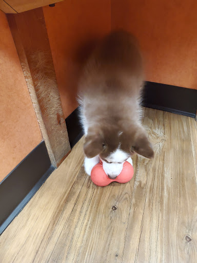 Pet Store «Fetch Pet Store», reviews and photos, 2700 Miamisburg Centerville Rd, Dayton, OH 45459, USA