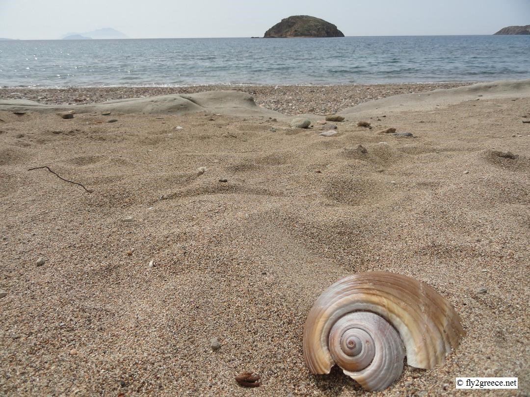 Foto van Ellinika beach gelegen in een natuurlijk gebied