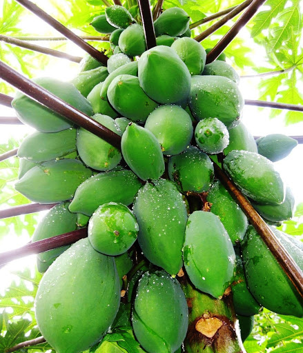 Grocery Store «Narin Market LLC», reviews and photos, 759 Potters Ave, Providence, RI 02907, USA