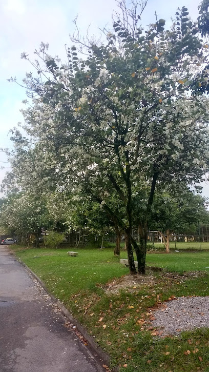 Bazar Da Paz Bangu Rio de Janeiro