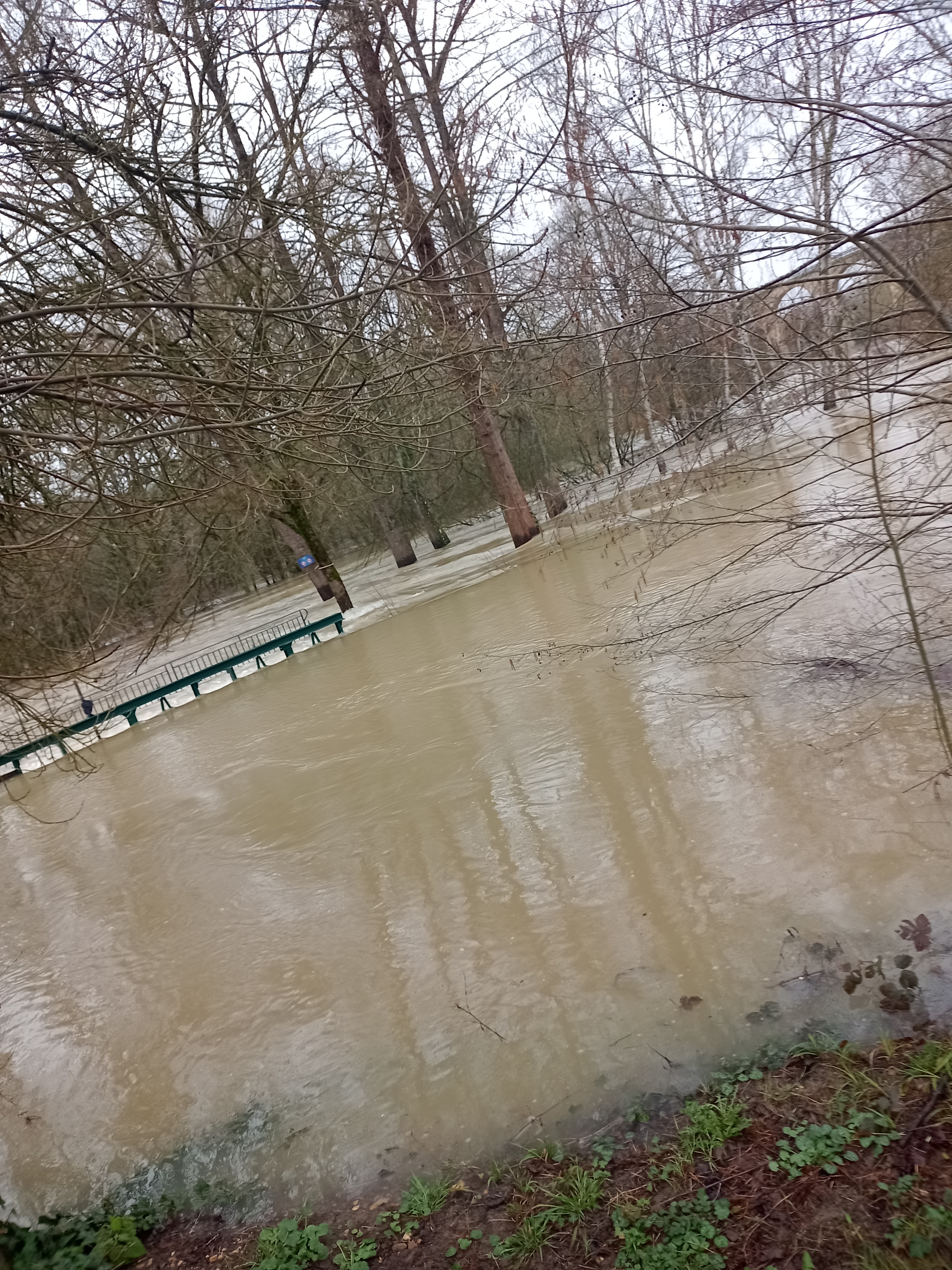 Photo n° 1 de l'avis de Thierry. fait le 25/02/2024 à 09:34