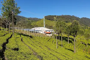 Green Valley View Point image