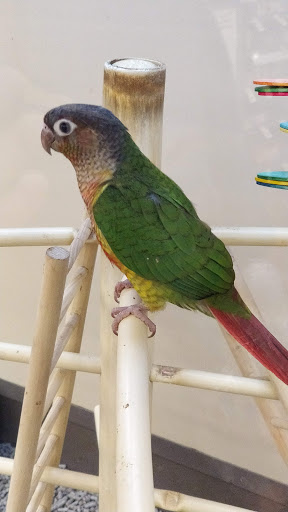 Pet Supply Store «Petco Animal Supplies», reviews and photos, 8551 S Howell Ave, Oak Creek, WI 53154, USA