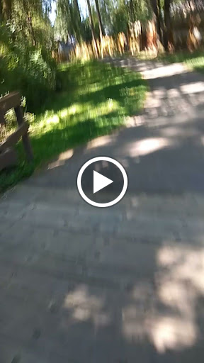 Dog Park «Hazeldale Park/ Dog park», reviews and photos, SW Farmington Rd, Aloha, OR 97007, USA