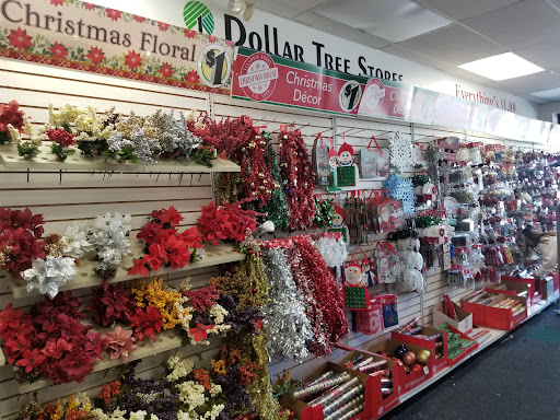 Dollar Store «Dollar Tree», reviews and photos, 5448 Perkiomen Ave, Reading, PA 19606, USA