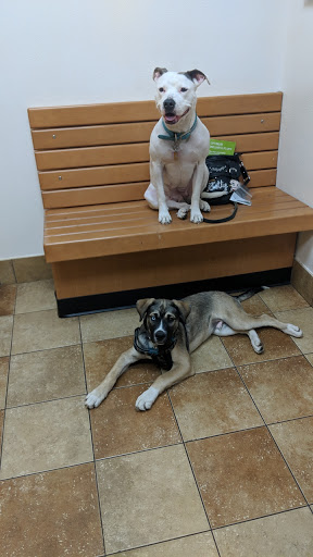 Pet Supply Store «PetSmart», reviews and photos, 350 Fifth St, Oswego, IL 60543, USA