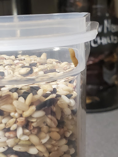 Korean Grocery Store «Korean Market», reviews and photos, 911 S Woodlawn Blvd, Wichita, KS 67218, USA