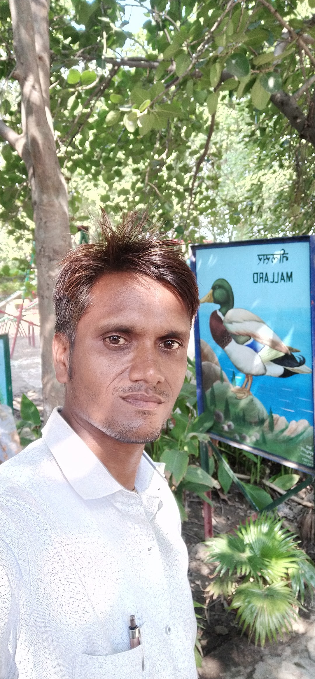Prem Nagar Colony Park
