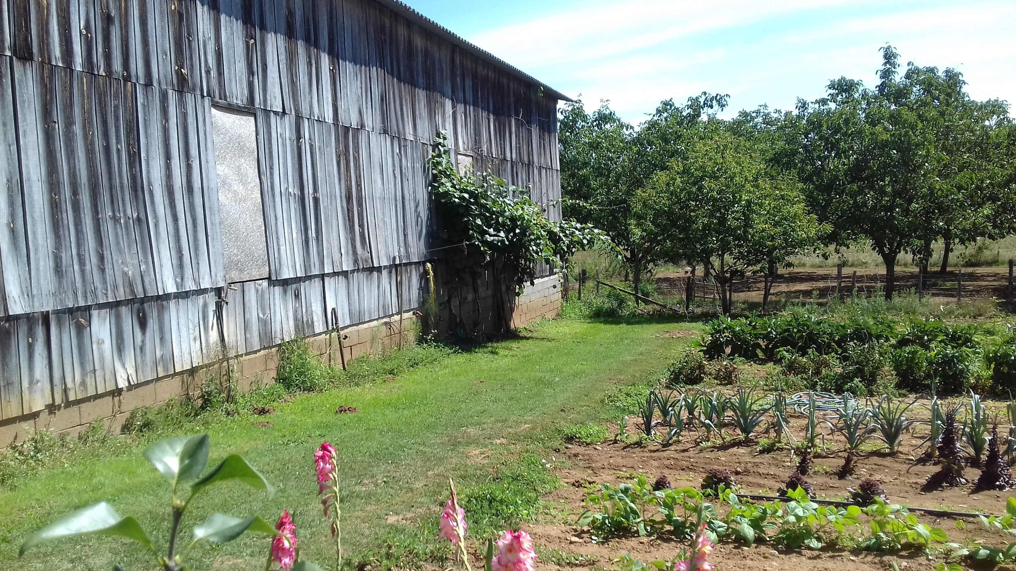 Photo n° 35 de l'avis de Grany.c fait le 16/08/2019 à 10:54