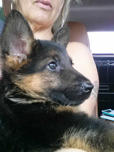 Pet Supply Store «Thomaston Feed», reviews and photos, 141 Watertown Rd, Thomaston, CT 06787, USA