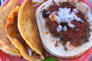 Tacos de Birria Tatemada image
