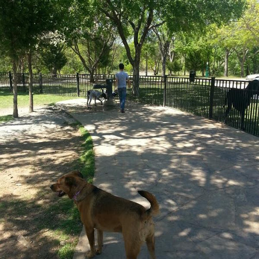 Wagging Tail Dog Park