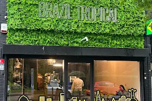 Brazil Tropical image