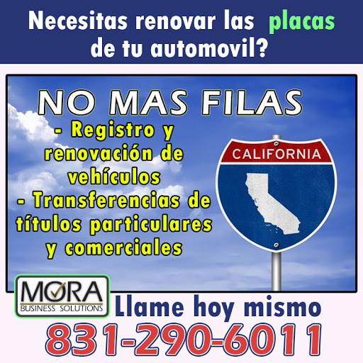 Mora Business Solutions, Inc. image