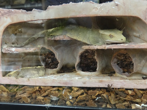 Pet Supply Store «Petco Animal Supplies», reviews and photos, 11331 W Broad St #151, Glen Allen, VA 23060, USA