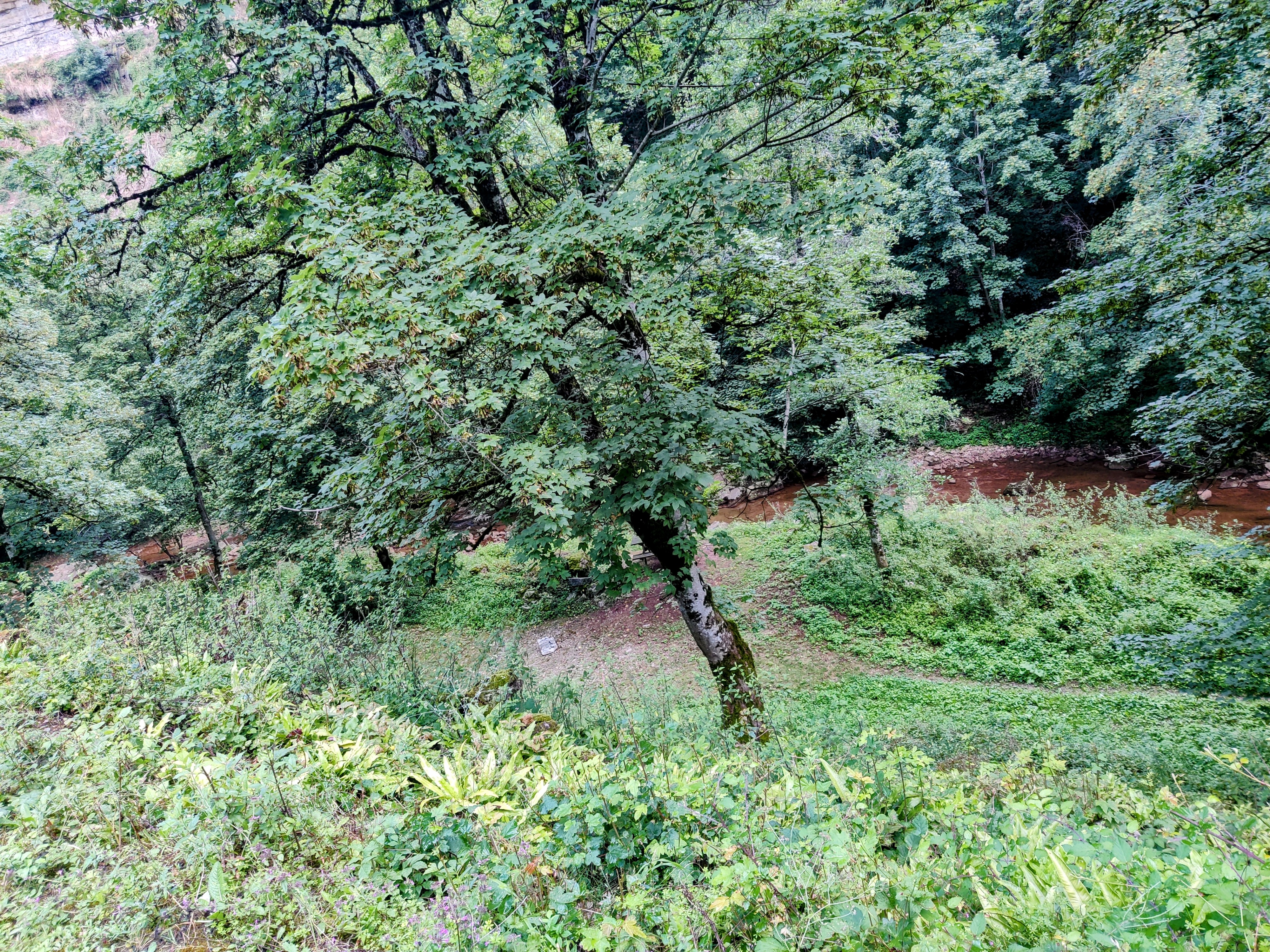 Photo n° 4 de l'avis de Elodie.O fait le 06/08/2023 à 18:44