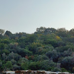 Photo n°1 de l'avis de Antonella.e fait le 01/10/2023 à 21:44 sur le  Tenuta Colombera à Albenga