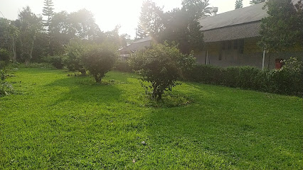 Orangajuli Tea Garden Factory