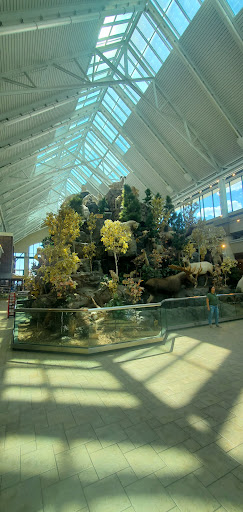 Sporting Goods Store «SCHEELS», reviews and photos, 1200 Scheels Drive, Sparks, NV 89434, USA