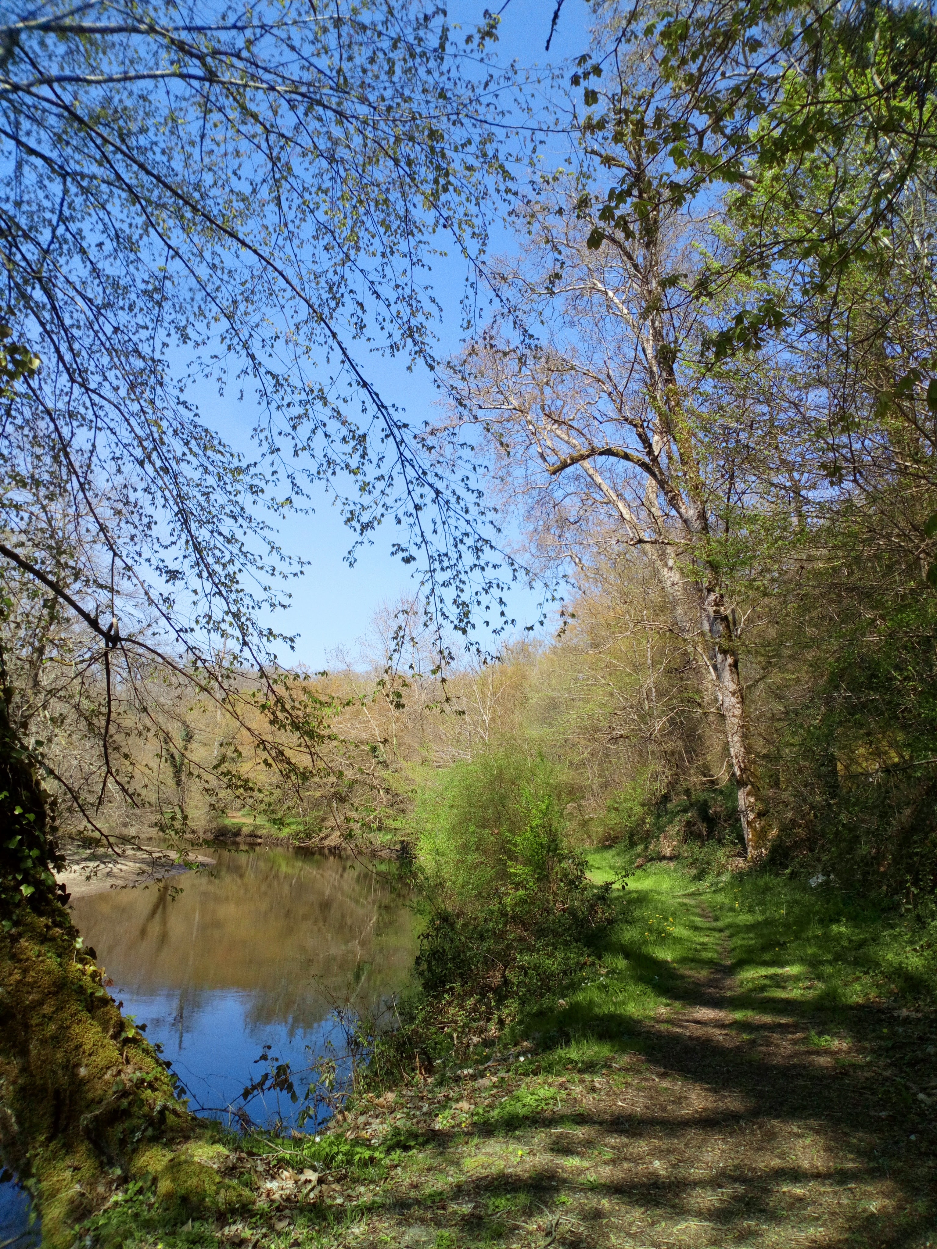 Photo n° 1 de l'avis de jessycloe95. fait le 12/04/2019 à 14:22