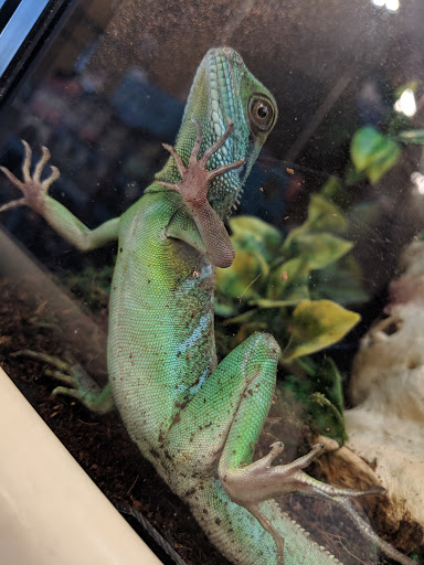 Pet Supply Store «PetSmart», reviews and photos, 31705 Pacific Hwy S, Federal Way, WA 98003, USA