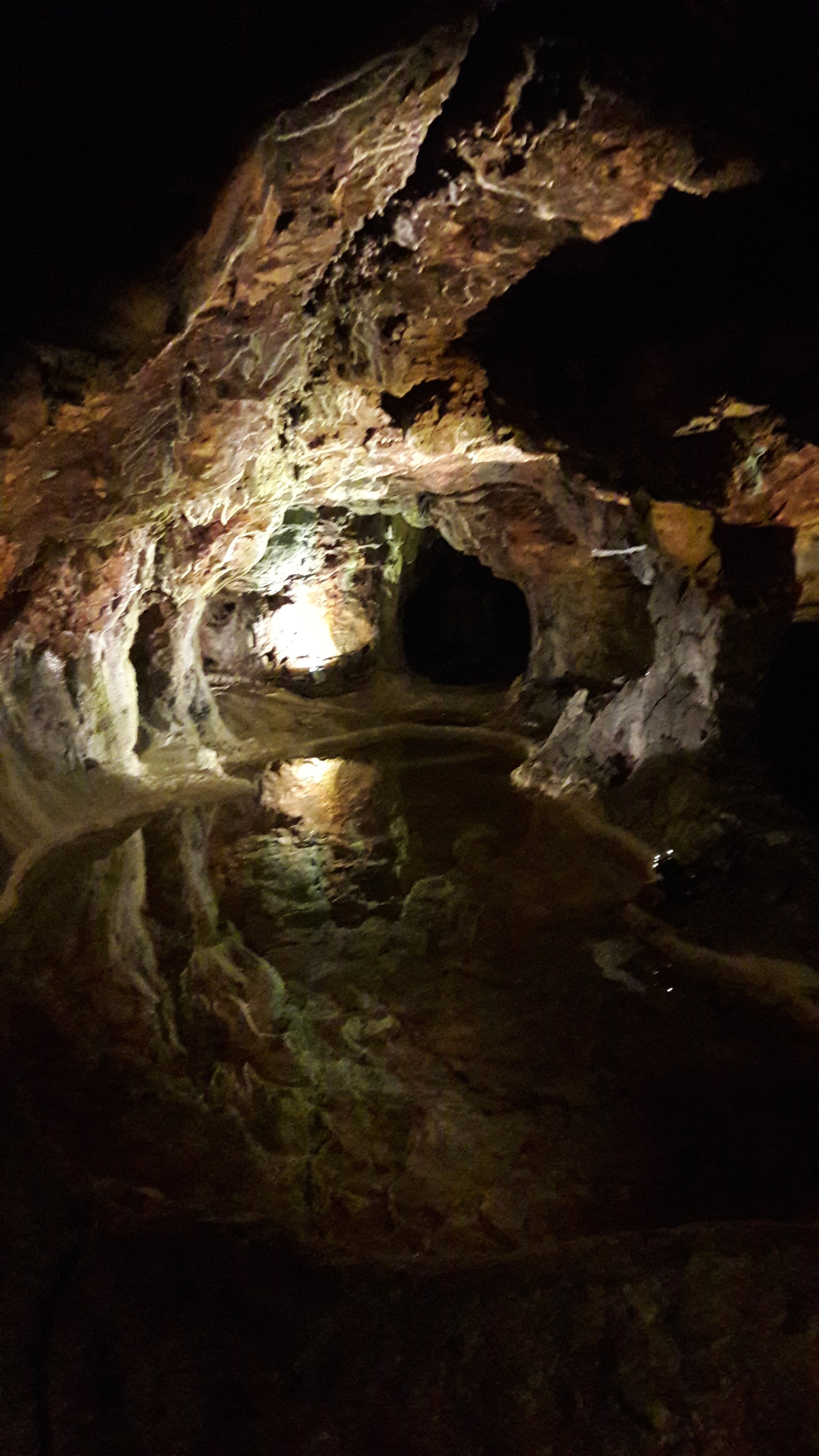 Photo n° 1 de l'avis de Cécile.l fait le 29/07/2020 à 20:58
