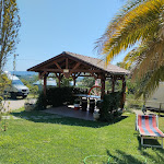 Photo n°4 de l'avis de Zeudi.a fait le 16/08/2023 à 15:55 sur le  Birrificio, Agri Camping, Pianella (Pe) e Agripub Golden Rose di Chiappini Melania à Pianella