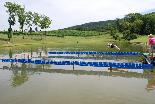 Winery «Maggie Malick Wine Caves», reviews and photos, 12138 Harpers Ferry Rd, Purcellville, VA 20132, USA