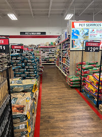 Tractor Supply Co. - Photo 5 - Car repair in Murfreesboro, TN, Murfreesboro