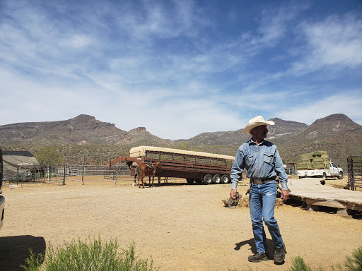 Horseback Riding Service «Spur Cross Stables», reviews and photos, 44029 N Spur Cross Rd, Cave Creek, AZ 85331, USA