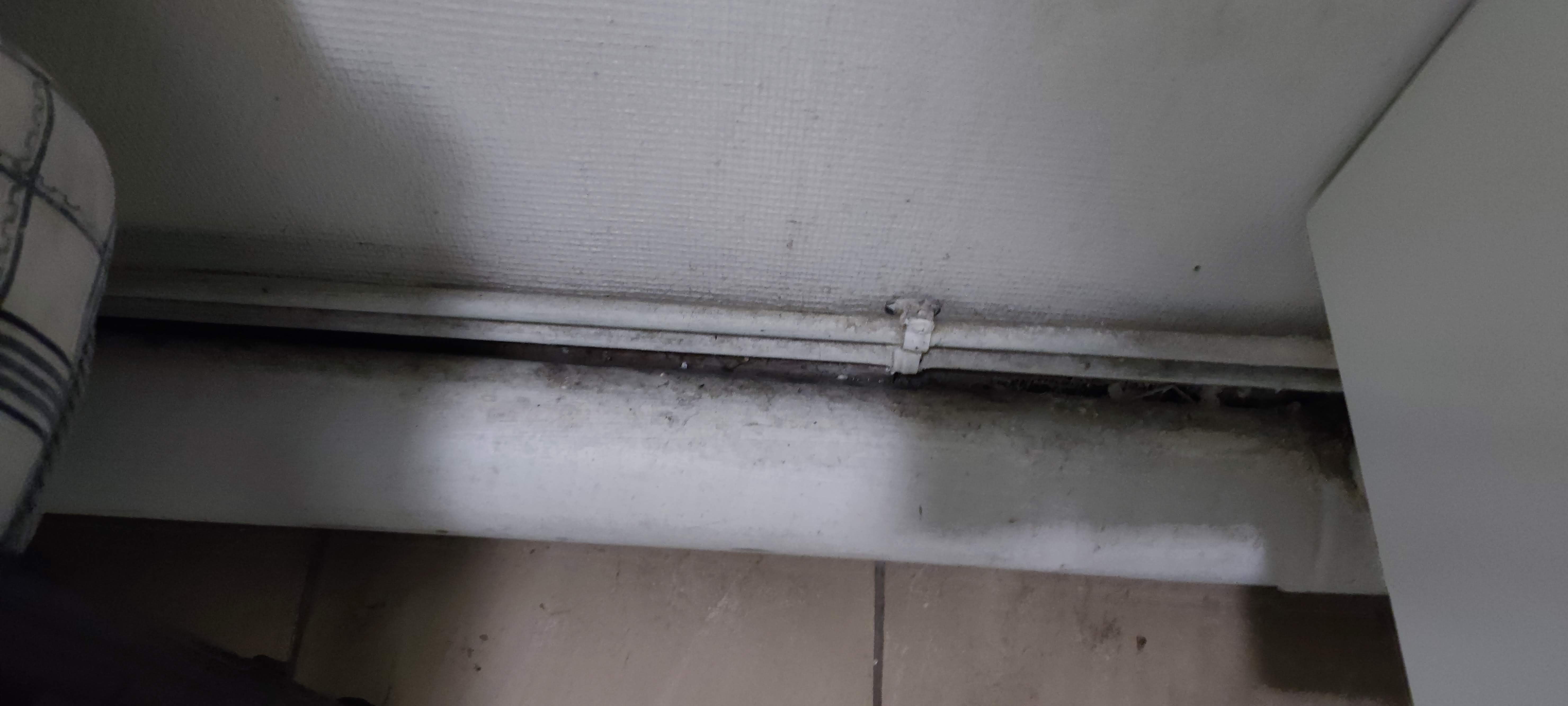 Photo n° 4 de l'avis de Rafael.a fait le 19/07/2021 à 21:35