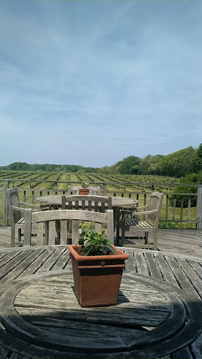 Winery «Paumanok Vineyards», reviews and photos, 1074 Main Rd, Aquebogue, NY 11931, USA