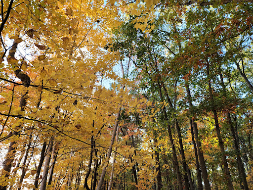Hiking Area «Cowles Bog Trail», reviews and photos, 1618 N Mineral Springs Rd, Dune Acres, IN 46304, USA