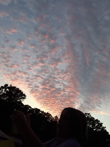 Nature Preserve «Rubio Woods», reviews and photos, W. Midlothian Turnpike, Midlothian, IL 60445, USA