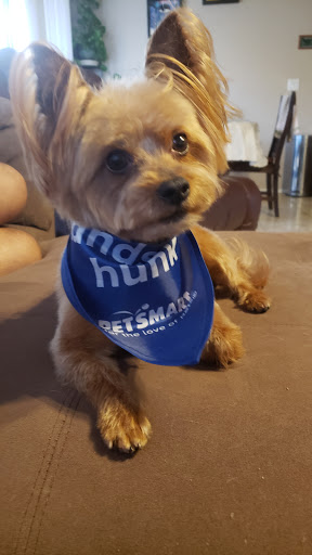 Pet Supply Store «Petco Animal Supplies», reviews and photos, 3452 W Chandler Blvd, Chandler, AZ 85226, USA