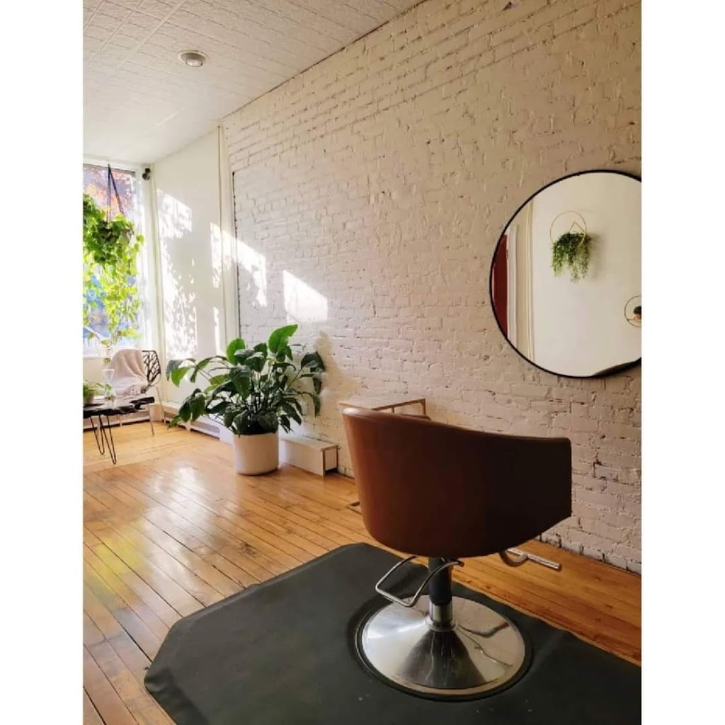 Wild Roots Studio 13827