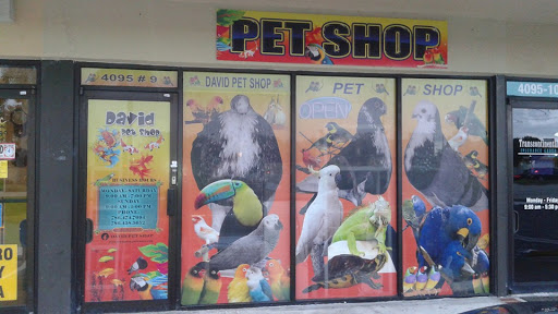 David Pet Shop