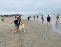 Camera Corral - Car repair in Coeur d'Alene, ID, Coeur d'Alene - Rated 4.7/5